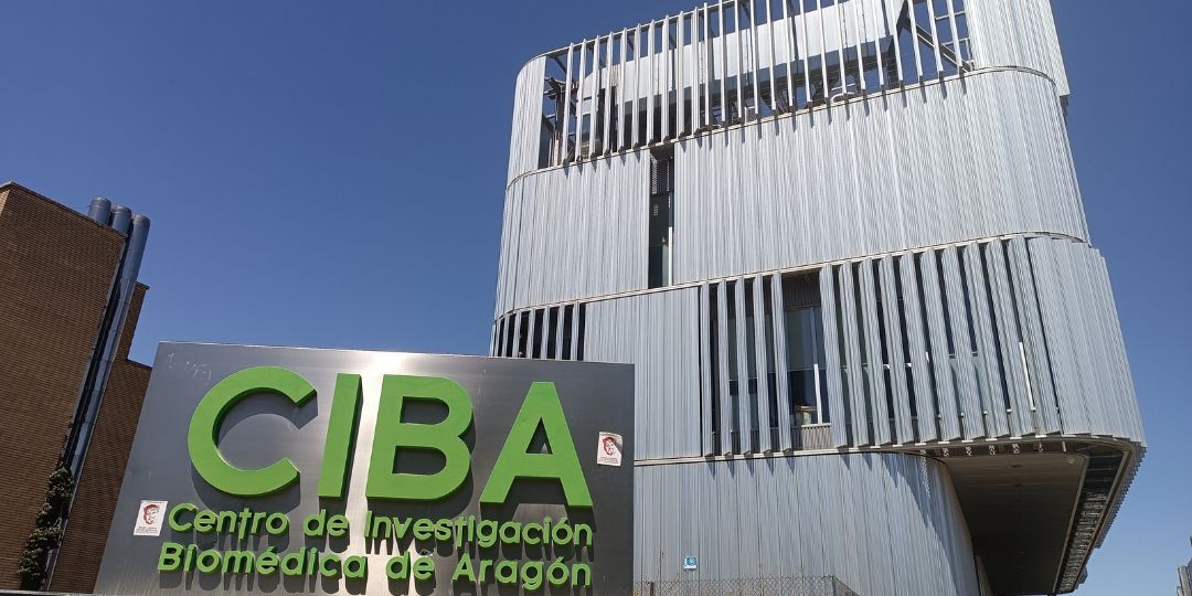 PACIENTE EN CIENCIA ZARAGOZA